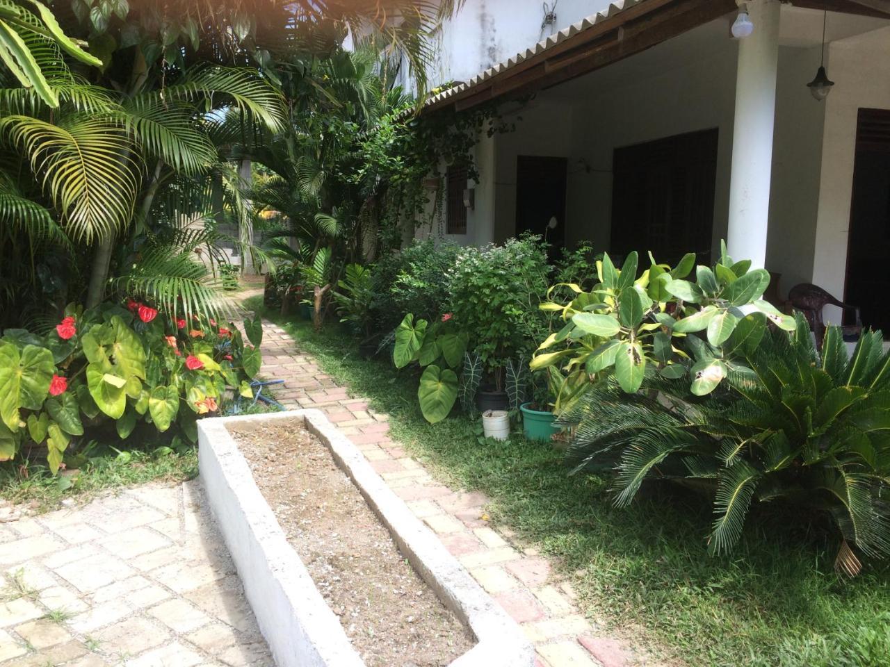 Hotel View Point Tissamaharama Exterior photo